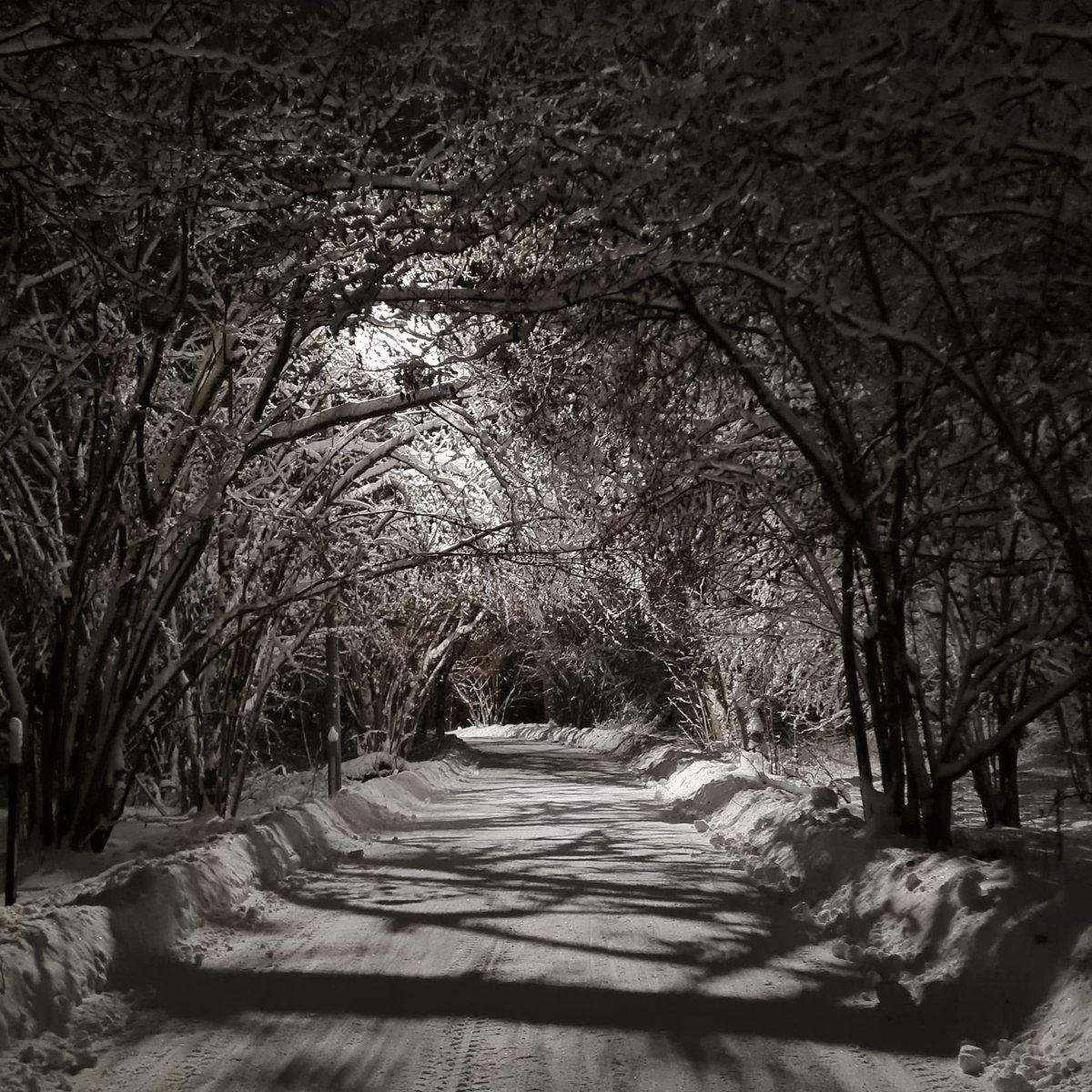 Kiitos <a href="/HelsinkiKymp/">Kaupunkiympäristö</a> #Haltiala-Pitkäkoski -kävelytien vapauttamisesta laduista! Upea ja hyvin hoidettu talvireitti #liikunta'an ilman suksia, josta moni ei varmaan vieläkään tiedä.