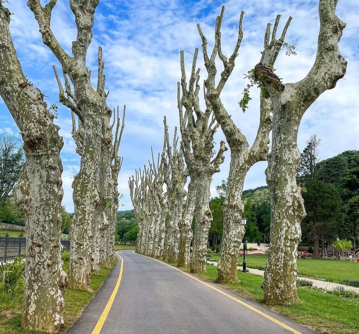 Beykoz Cam ve Billur Müzesi’ne git.