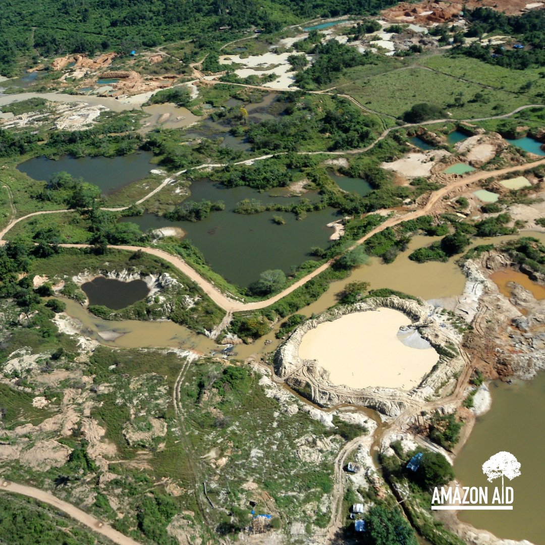 AmazonAidF's tweet image. Although ASGM has become an important source of income for many in the Amazon, it has also had numerous devastating social and environmental consequences.

More information: amazonaid.org/threats-to-the…