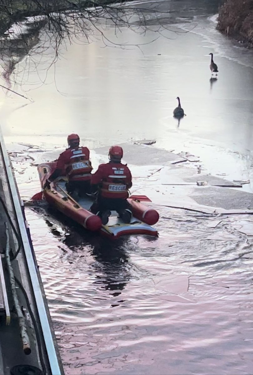 Technical Rescue tweet media