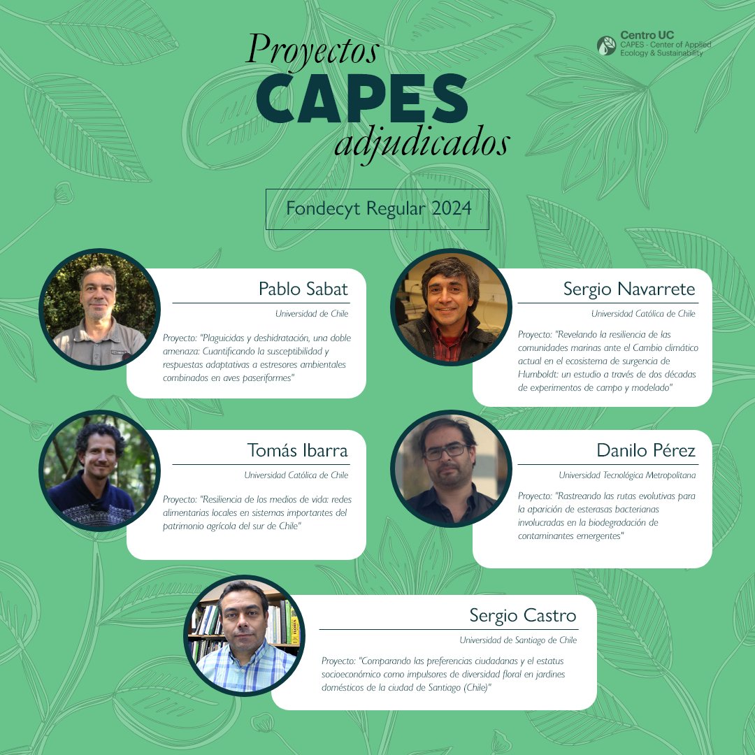 Felicitamos a los investigadores <a href="/capeschile/">CAPES</a> que se adjudicaron proyectos en el concurso #Fondecyt Regular 2024 👏👏

Danilo Pérez, <a href="/utem/">UTEM</a>; Sergio Castro, <a href="/usach/">Universidad de Santiago de Chile</a>; Tomás Ibarra, <a href="/VillarricaUC/">Campus Villarrica UC</a>; Pablo Sabat, <a href="/uchile/">Universidad de Chile</a>,  y Sergio Navarrete, <a href="/ucatolica/">Universidad Católica</a> 

#CentrosAnid #CienciaCAPES
