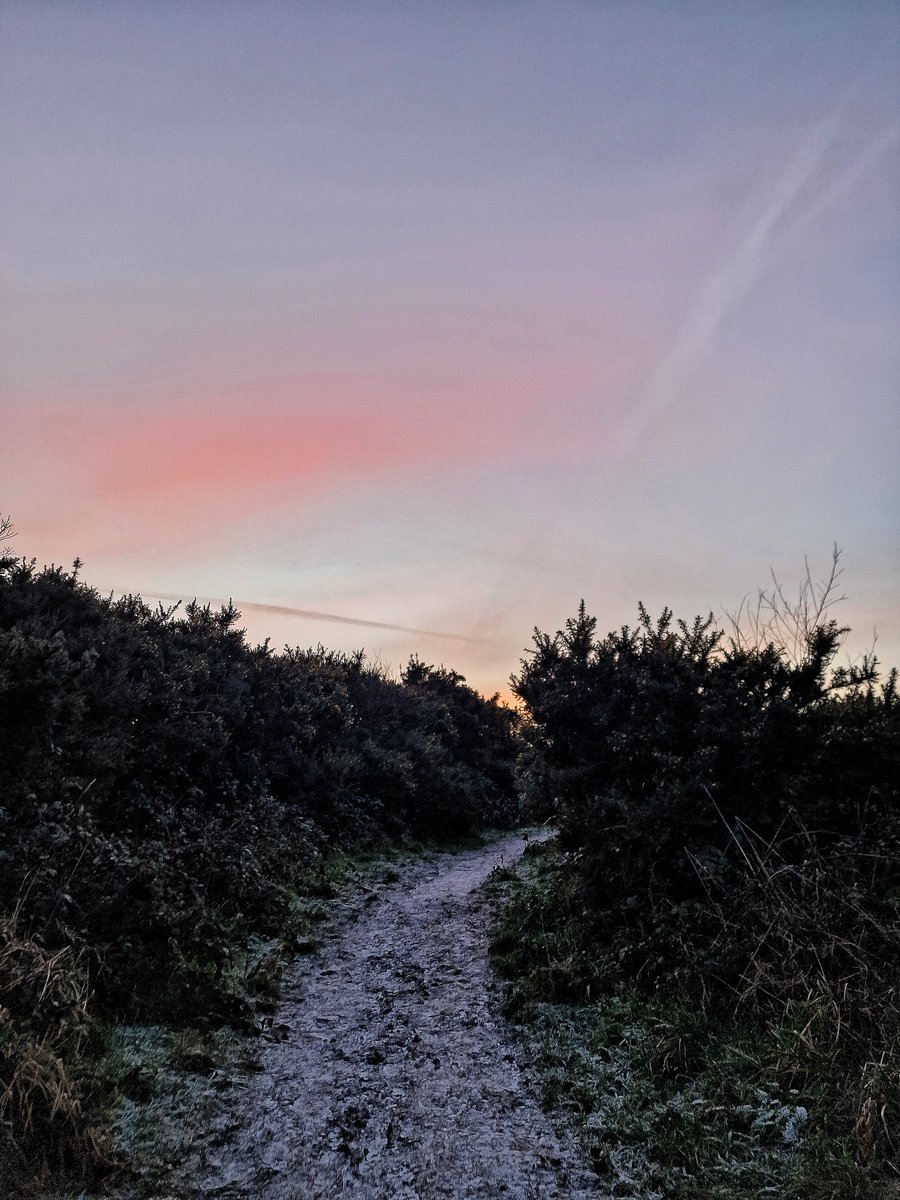 🤫🤫🤫 

I've escaped!