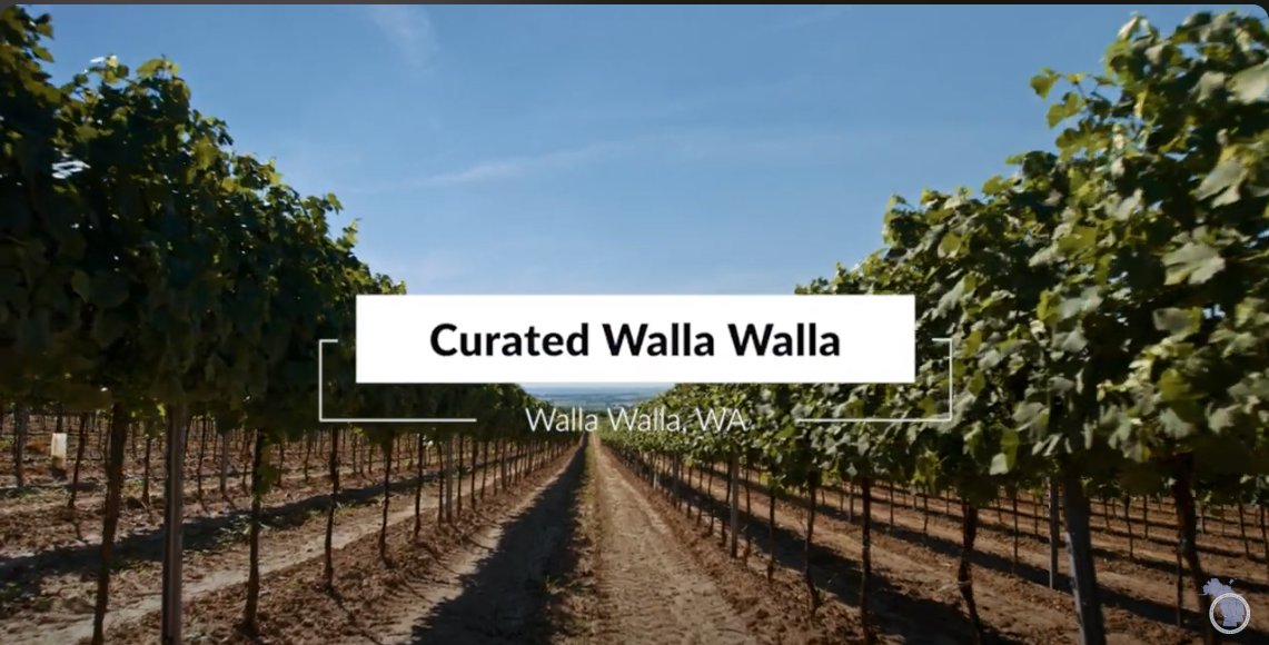 RISE-WA SPOTLIGHT: Curated Walla Walla is a family affair offering wine tours in the Walla Walla Valley. WATCH: youtube.com/watch?v=qr780U… PNWER's just completed RISE-WA Accelerator provided direct support & mentorship to #SmallBusiness in WA. Learn more: risewa.org