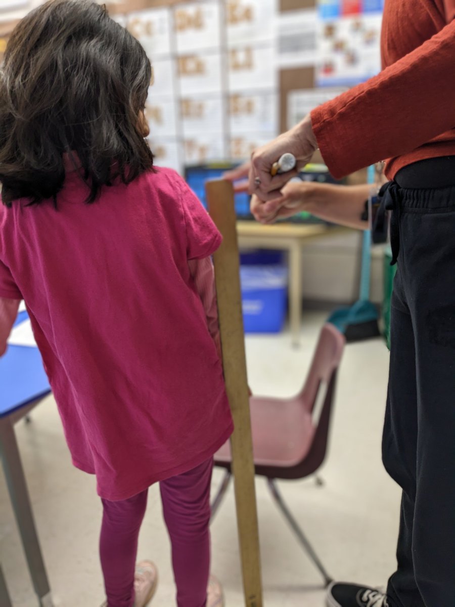 Grade 1 and 2 students estimating and measuring height. #mathiscool