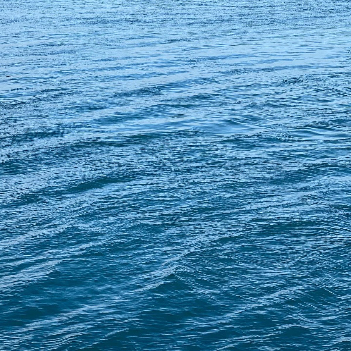 NKJSW's tweet photo. 🌊🫧 https://t.co/H0DevHWIg9