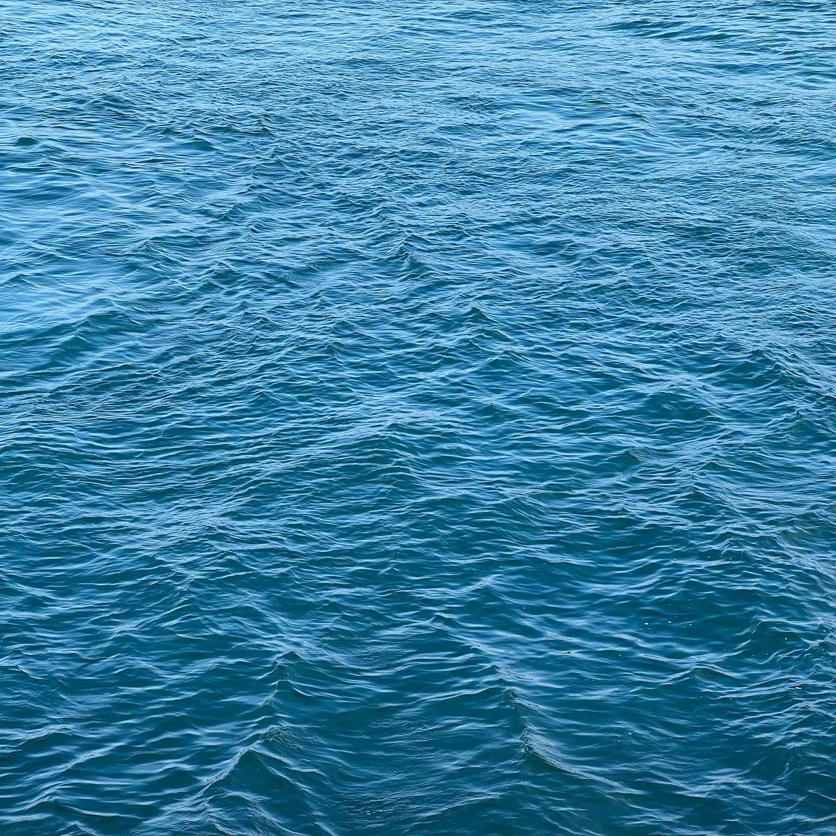 NKJSW's tweet photo. 🌊🫧 https://t.co/H0DevHWIg9