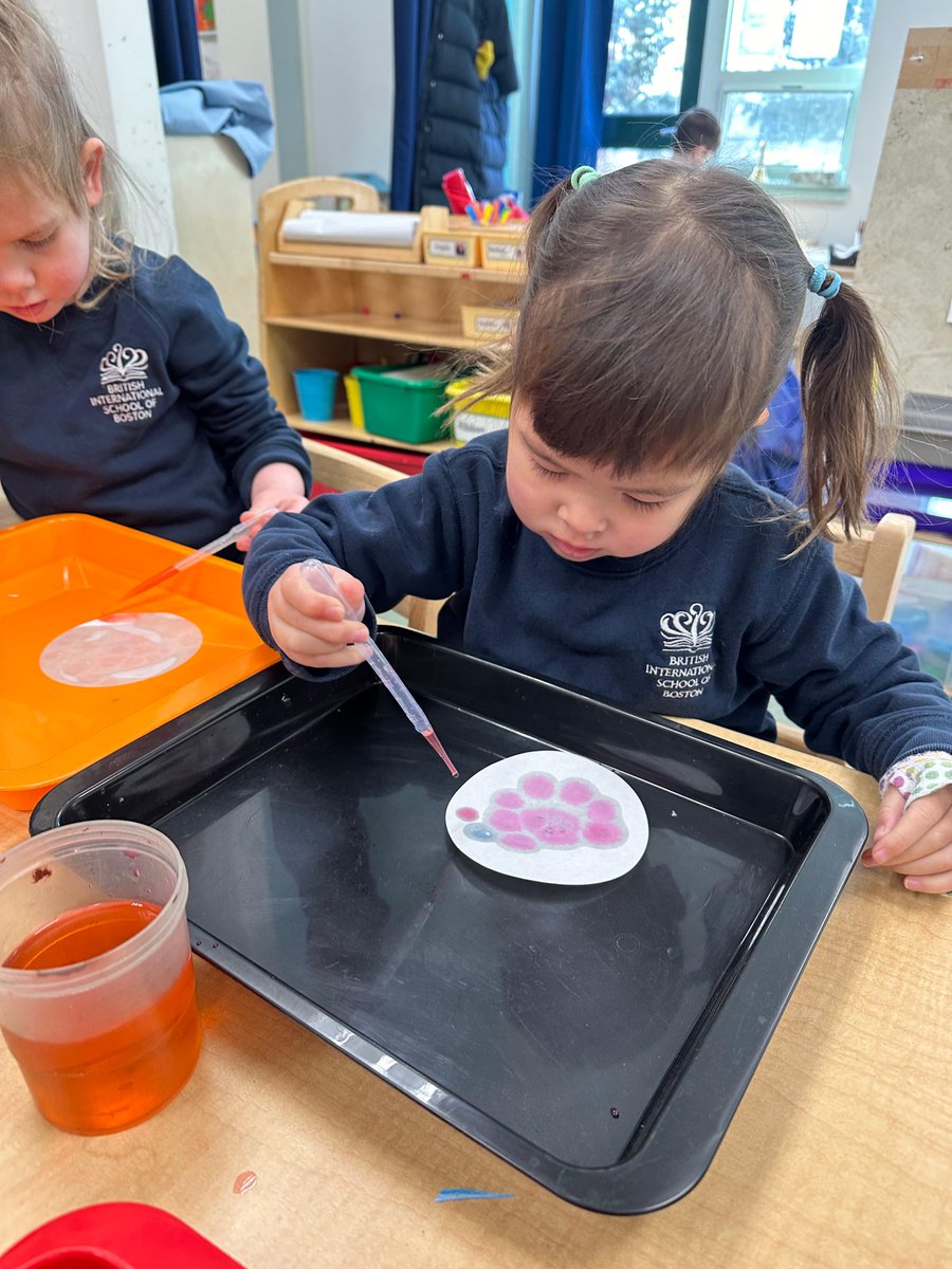 BISB_School's tweet photo. #BISB Nursery Class enjoyed exploring colors and patterns this week. They used different-sized pipettes with colored water on filter paper and investigated what happened to the water droplets.
#LearningThroughPlay https://t.co/R2mJm2zldt