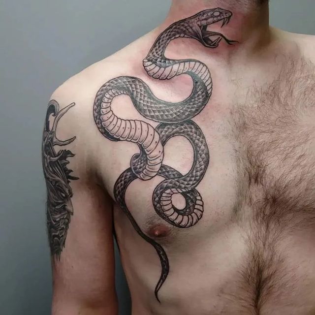 22 Snake Tattoos For Chest And Meanings | Snake tattoo, Tattoos,  Traditional snake tattoo