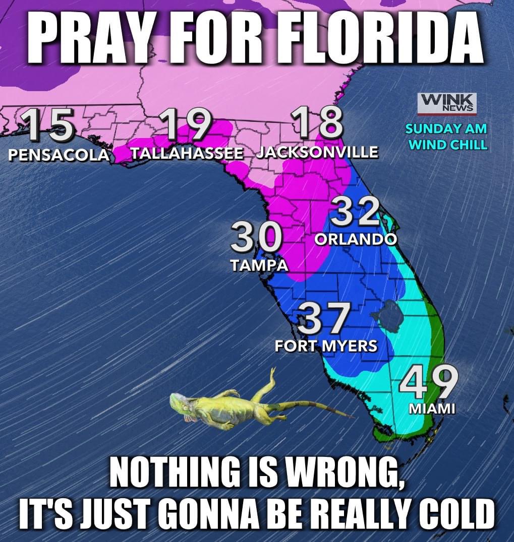 BUNDLE UP FLORIDA! 🥶 
Coldest air of the season for many by Sunday morning with wind chills in the teens for the Panhandle, 30s in Southwest Florida. Brrr! @WINKNews