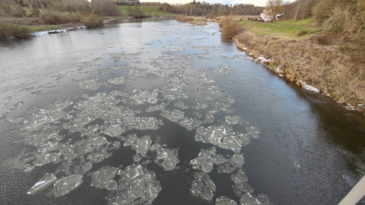 #Icefloes on the #RiverTweed this afternoon 🥶