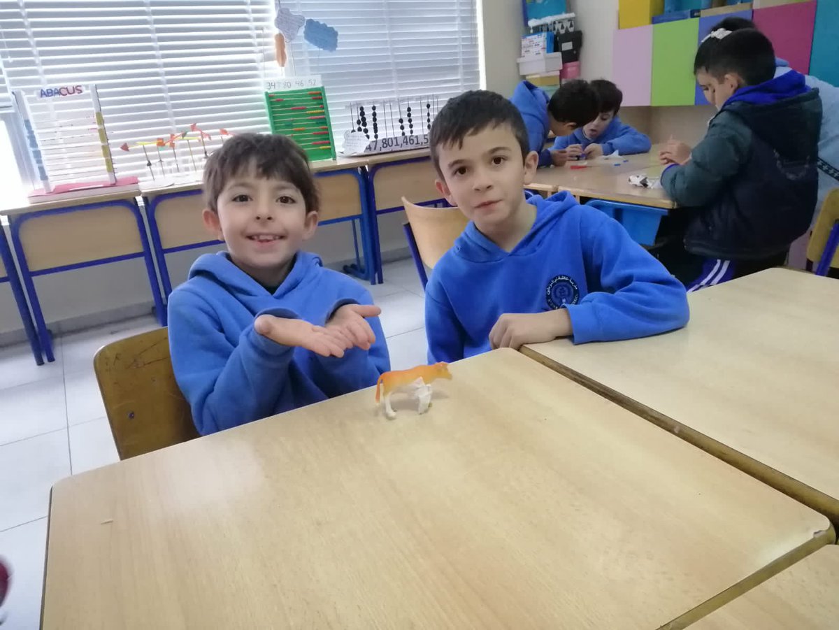 Grade 3 students saw the injured animals and decided to create a mobility aid in order to help them stand up straight again.🐆

<a href="/NElakhdar/">Nour elakhdar</a> <a href="/MakAishaSchool/">MakAishaSchool</a>