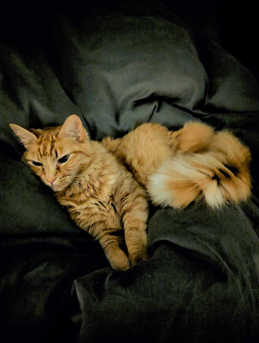 offsec_ginger's tweet photo. @UK_Daniel_Card Good ole #Scriptkitty ❤️ https://t.co/J8w9TUtUx6