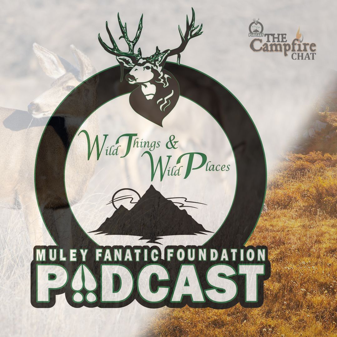 MuleyFanatic's tweet image. ~January 23rd, 2024 ~
WILD THINGS IN WILD PLACES PODCAST

This weeks episode features Chance Marshall and Zach Sanders, representing the 10 Country Chapter.

Listen to this weeks episode:

rb.gy/1q3dwh or on our YouTube Channel youtube.com/muleyfanaticfo…