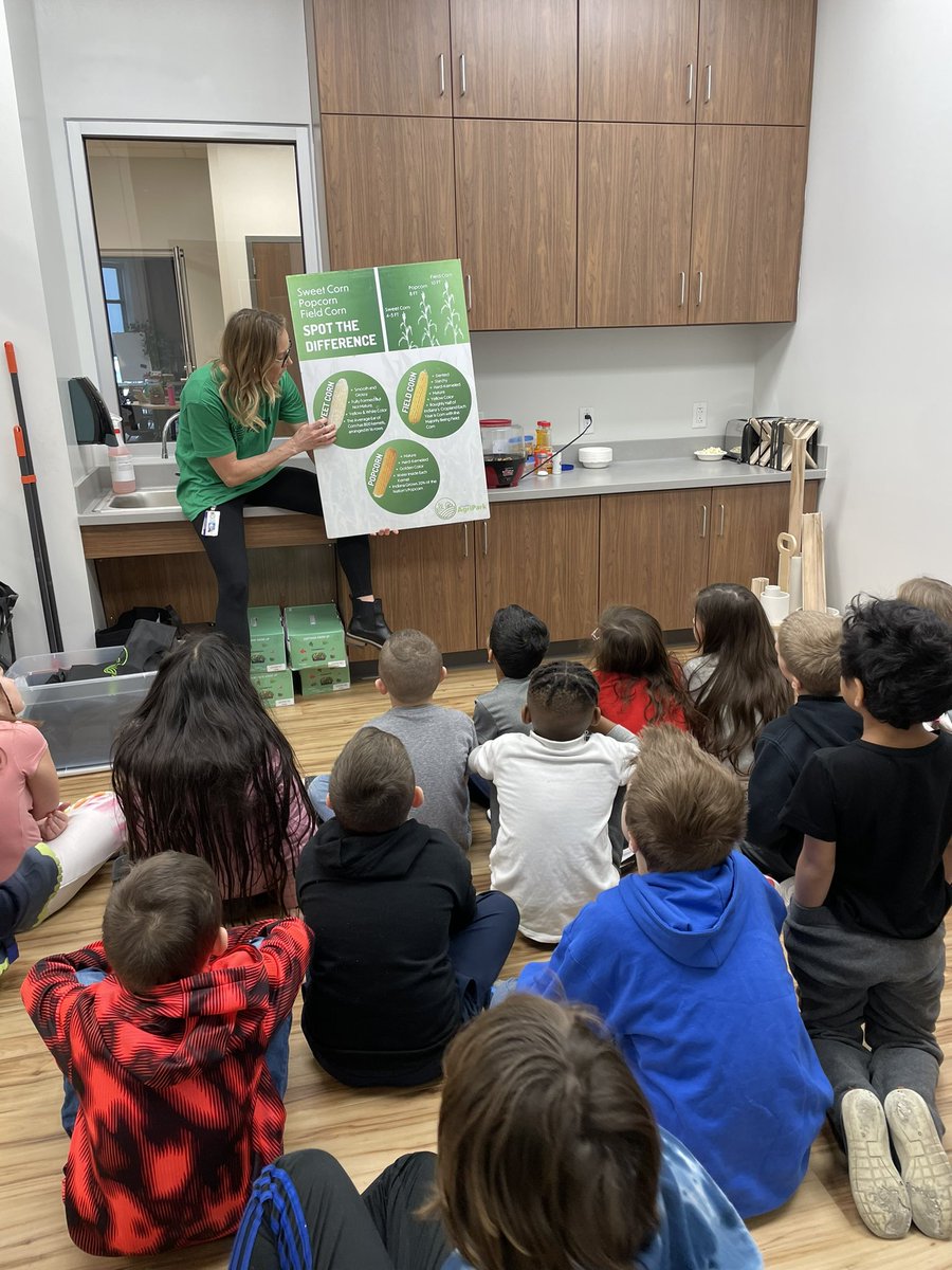 Allison Manion tweet media