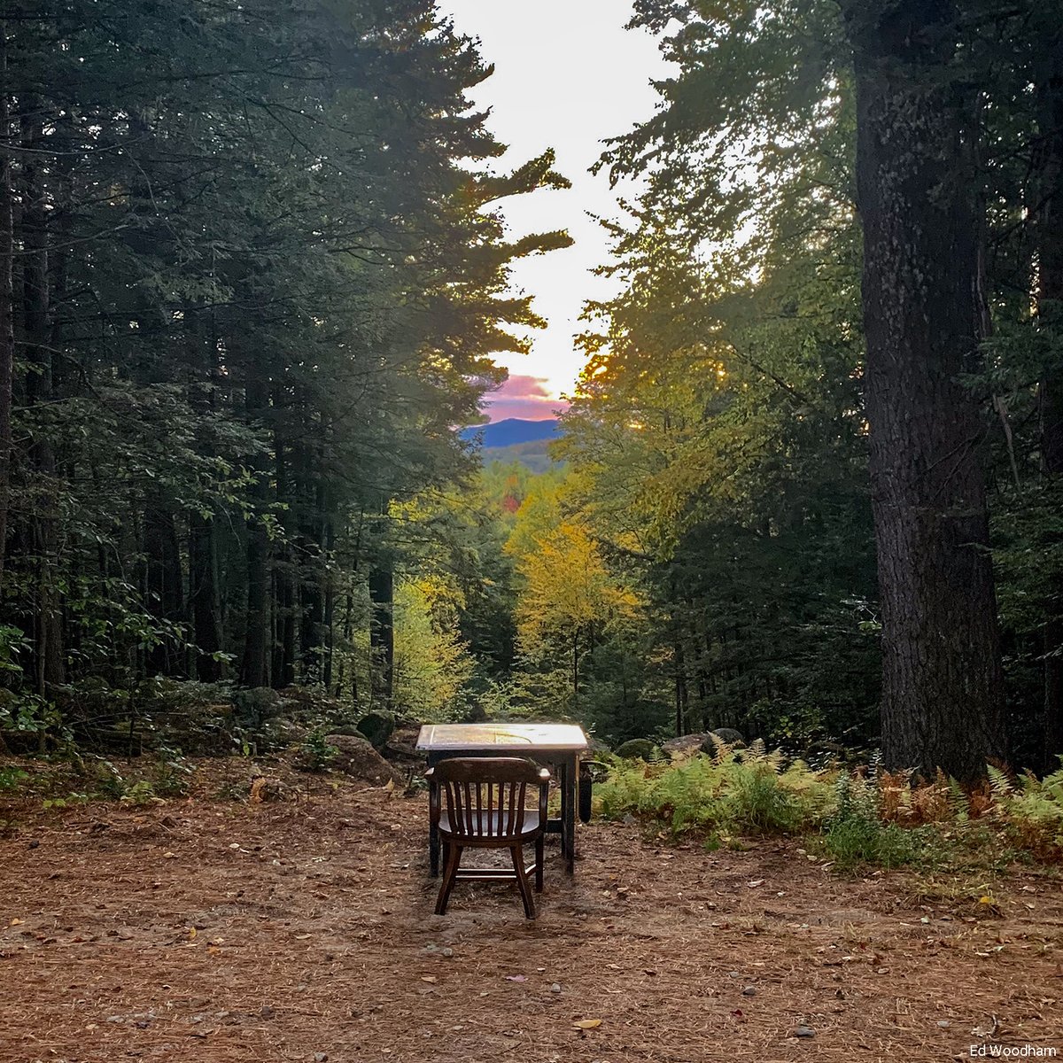 Applying to MacDowell? Don’t go it alone!

Our Admissions Dept. is hosting an application Q&amp;A on Feb. 1 at 3PM ET on Zoom.

To register, go to bit.ly/MacDowellQnA-F…