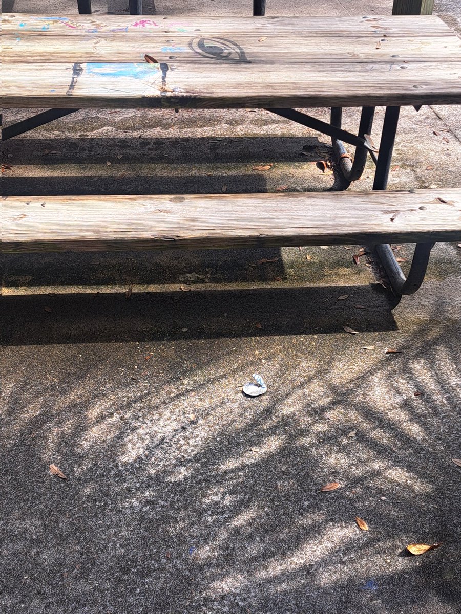 OrlandoCruising's tweet photo. Oh airport lakes. 2 steps forward, 1 condom wrap set back. 

Airport lakes park 1.20.23

#airportlakespark
#orlandocruising https://t.co/MDLHU3WfRk