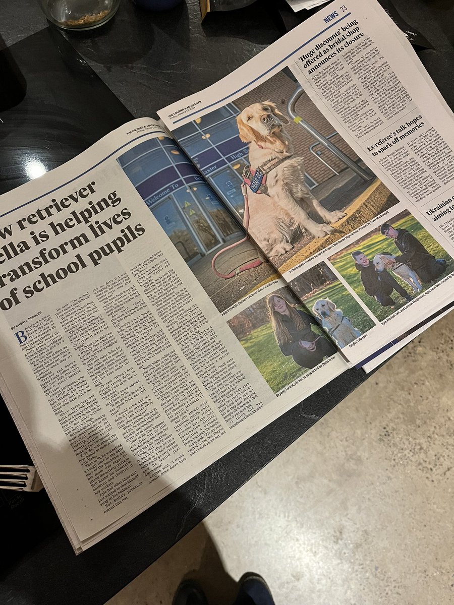 Bella the Therapy Dog tweet media