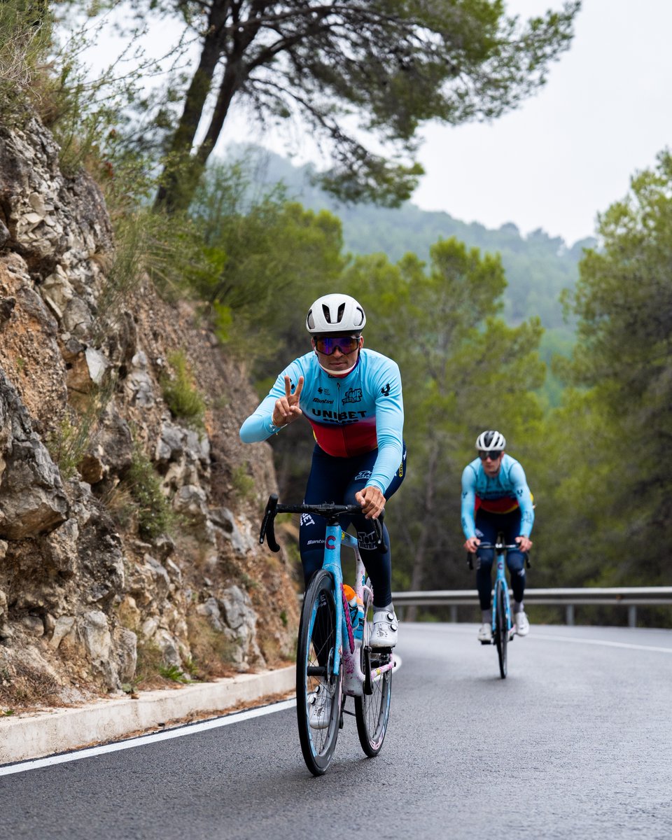 Unibet Rose Rockets tweet media