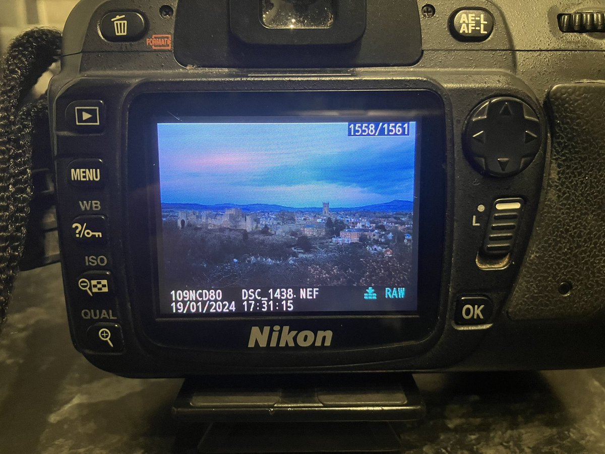 RoseJenyonPhotography tweet media