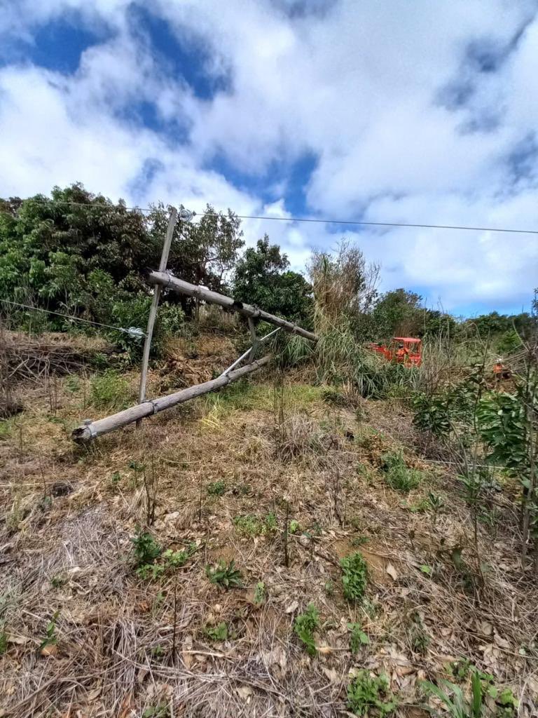 Antoine Jourdain tweet media