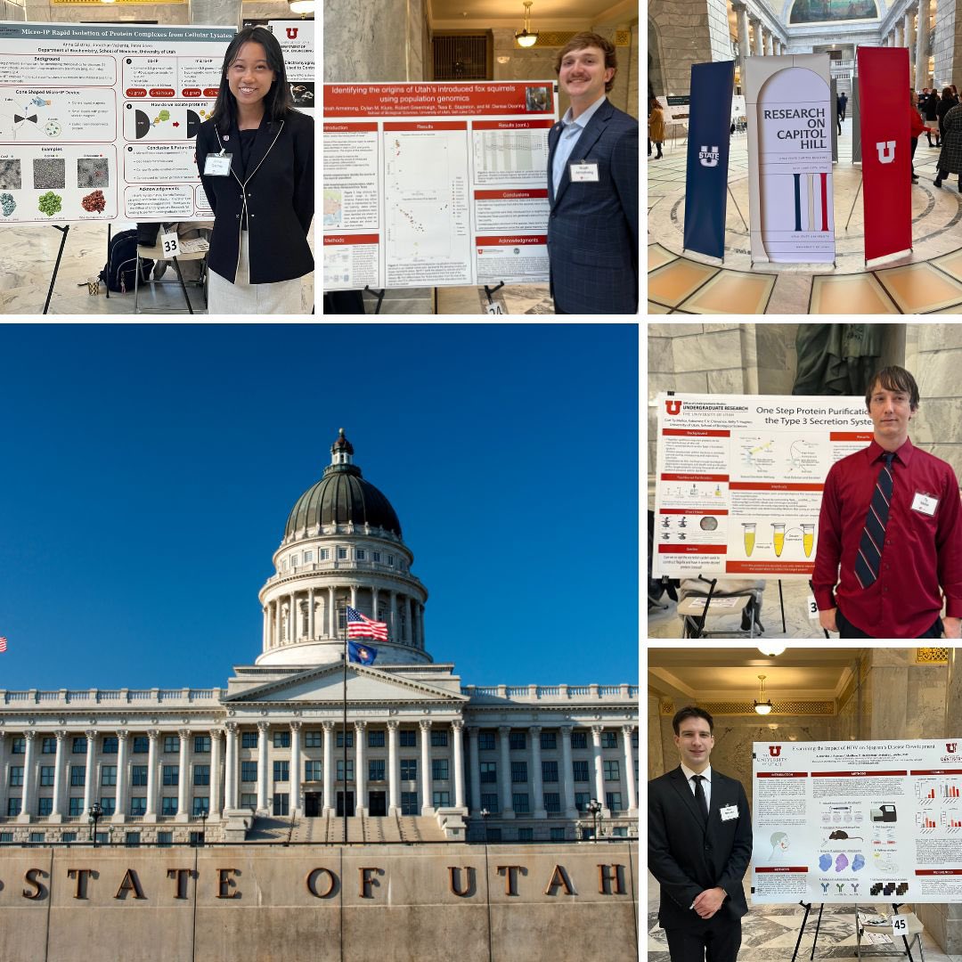 University of Utah School of Biological Sciences tweet media