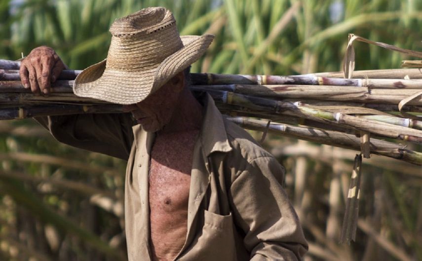 – Peor zafra en 125 años – >80% de pobres – >4% del país (>425 000) emigró en dos años – Inflación de 330% desde 2010 – Devaluación record de la moneda ($USD =260 cup) – Producción arroz de apenas 10% del máximo histórico La oposición más férrea al oficialismo de Cuba🇨🇺 son…