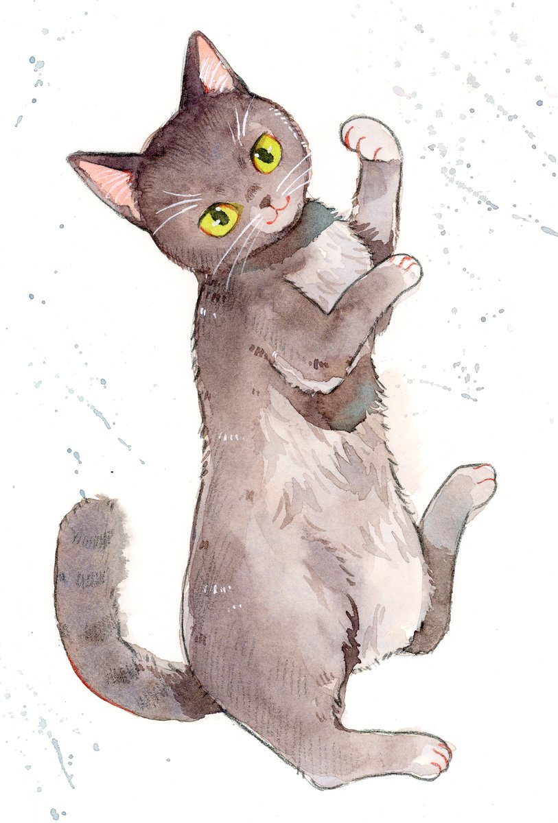 これは別件の猫のワークショップするかものやつ。 明日原画持って