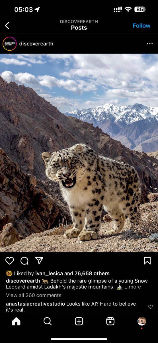 حامی tweet media