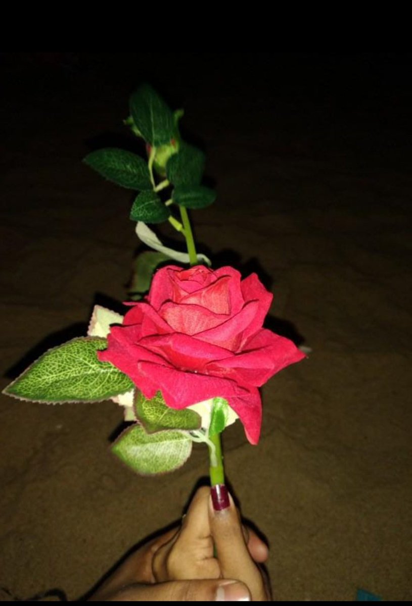 Binatwinkle's tweet photo. ସମୁଦ୍ରର ବେଳାଭୂମିରେ   ସେ ଦିନ  ହୁଏତ ଏ ଗୋଲାପ ପ୍ରକୃତ ନ  ଥିଲା କିନ୍ତୁ ପ୍ରକୃତ ଭଲ ପାଇବା ତାକୁ , ଜୀବନ୍ତ ସଜେଇ ଦେଇଥିଲା।।।❤ ସେଥିପାଇଁ ତ   ମୁଁ ଆଜି ତୁମର ଧର୍ମପତ୍ନୀ ହୋଇପାରିଛି।। 
 
#ପ୍ରେମ 
#ପ୍ରେମିକ
#ପ୍ରେମିକା https://t.co/7Tfm5LOmQ2