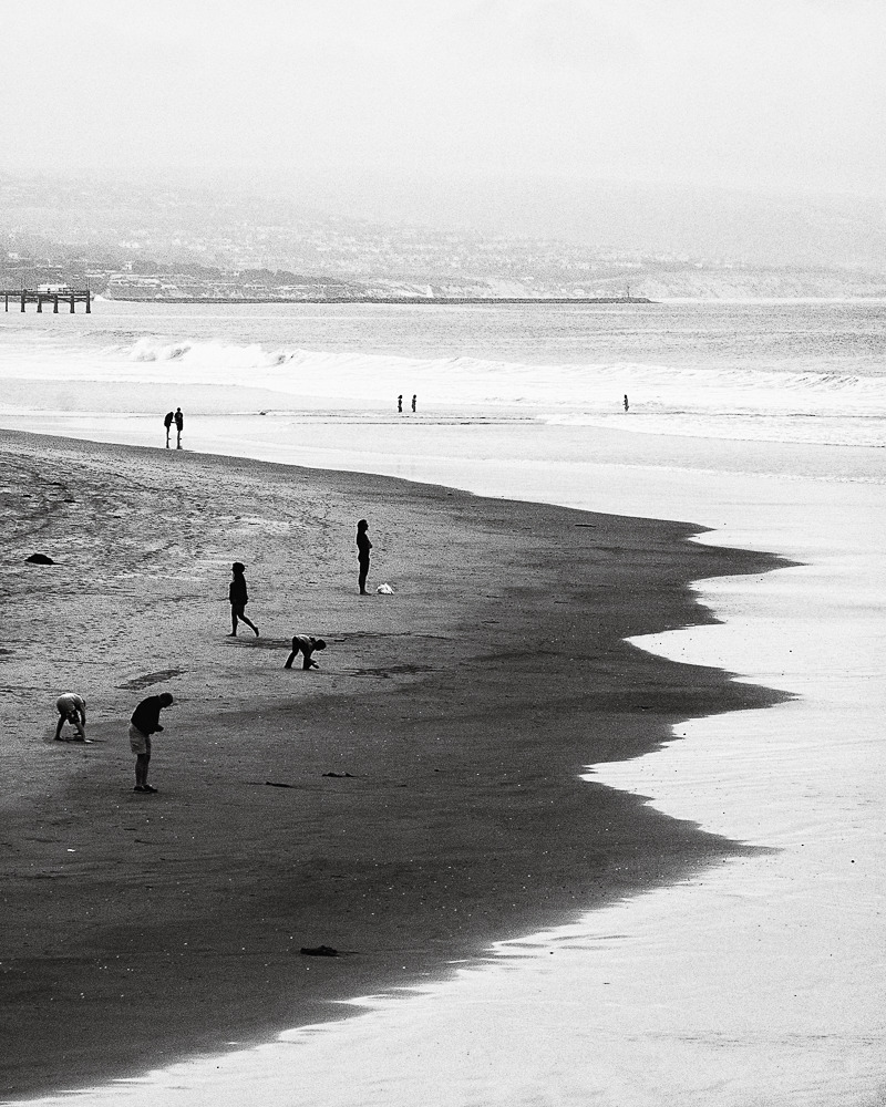 archillect's tweet image. 