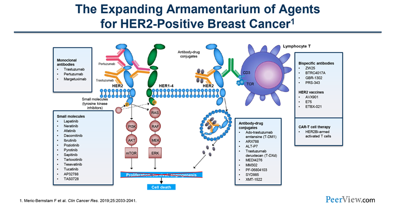 Learn to apply the latest recommendations when integrating #HER2 targeting therapies into #BreastCancer treatment plans. Watch <a href="/JavierCortesMD/">Javier Cortes MD PhD</a>, Sara A. Hurvitz, MD, FACP, &amp; <a href="/PTarantinoMD/">Paolo Tarantino</a> discuss in a #MedEd video from #SABCS23 bit.ly/3pVK08m <a href="/GRASPtweets/">GRASP</a> <a href="/LivingBeyondBC/">Living Beyond Breast Cancer</a>