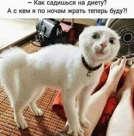 Татьяна А. tweet media
