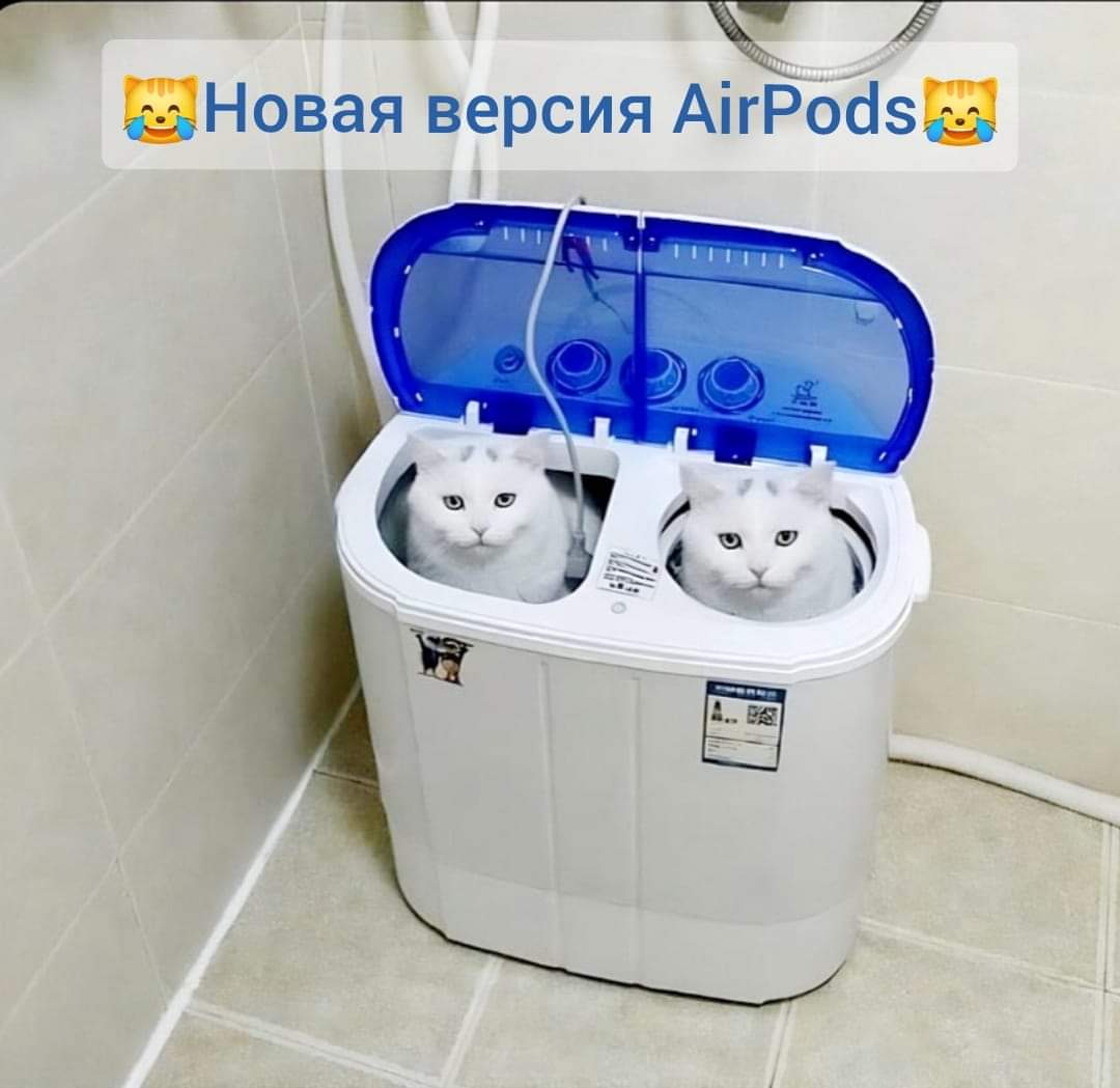Татьяна А. tweet media