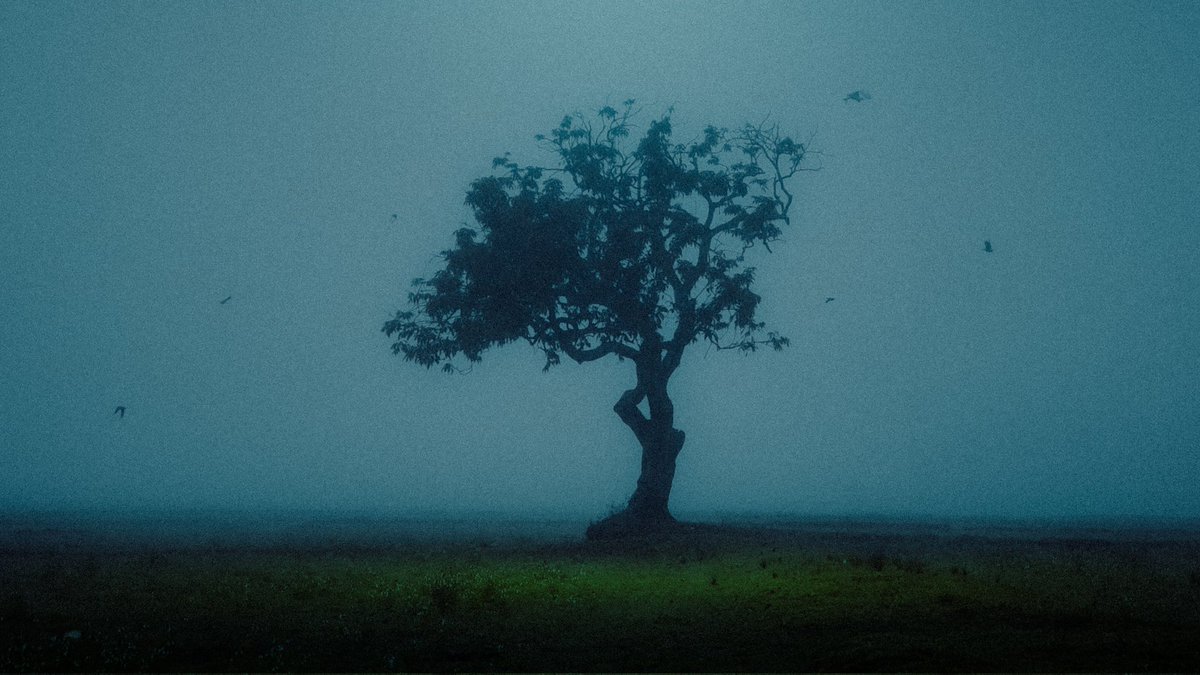 faajil_'s tweet photo. A Desolation Song - Agalloch https://t.co/qD6356YzpU