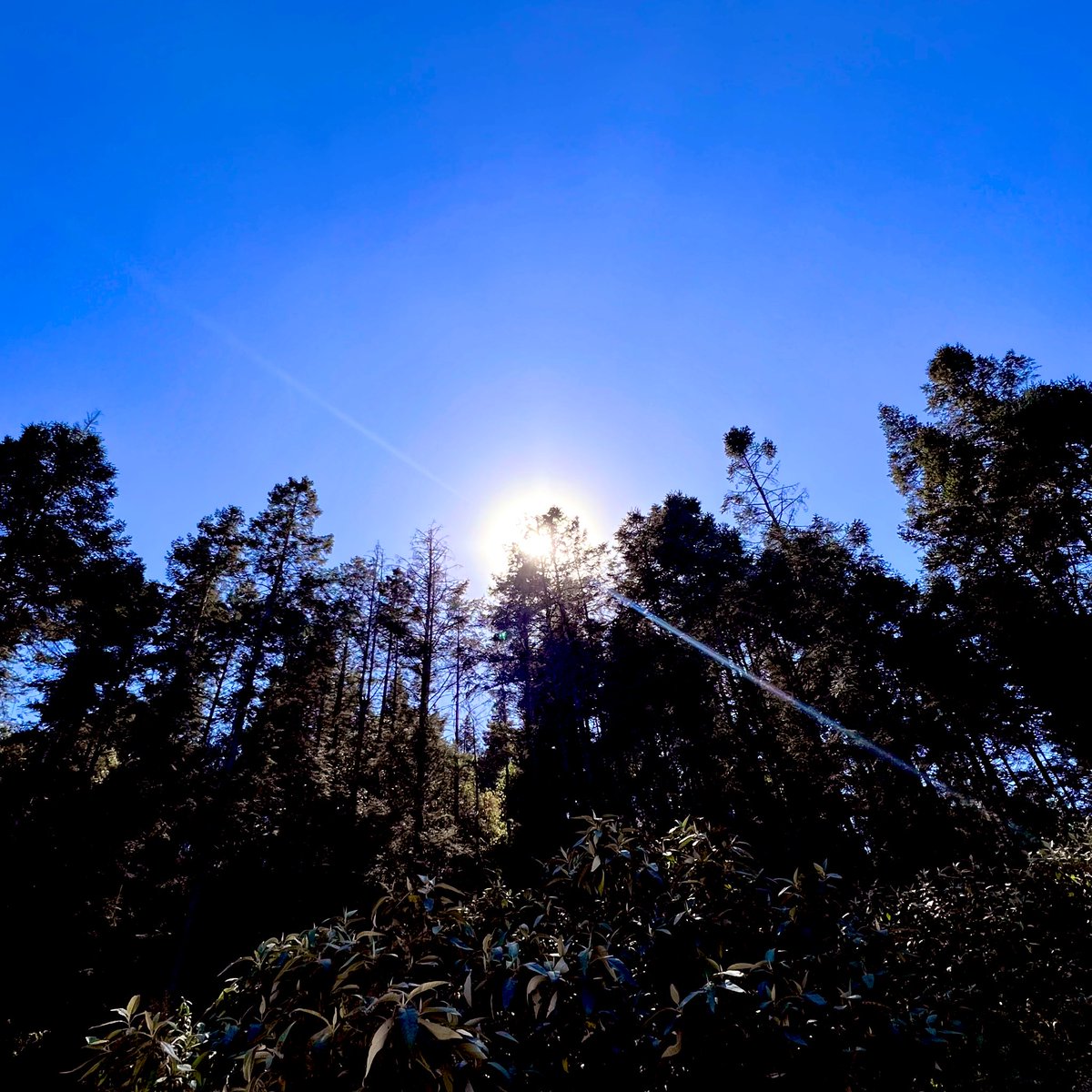 Octavius_MR2's tweet image. Todo comienzo suele ser fácil, es el viaje el que nos enseña y nos da aprendizaje. En este equipo nuestra fortaleza siempre será mantenernos firmes, unidos y leales. ¡Vamos #EquipoADMM! #LealYReal