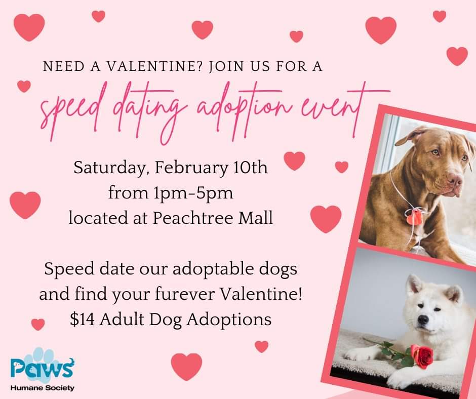 Paws Humane Society tweet media