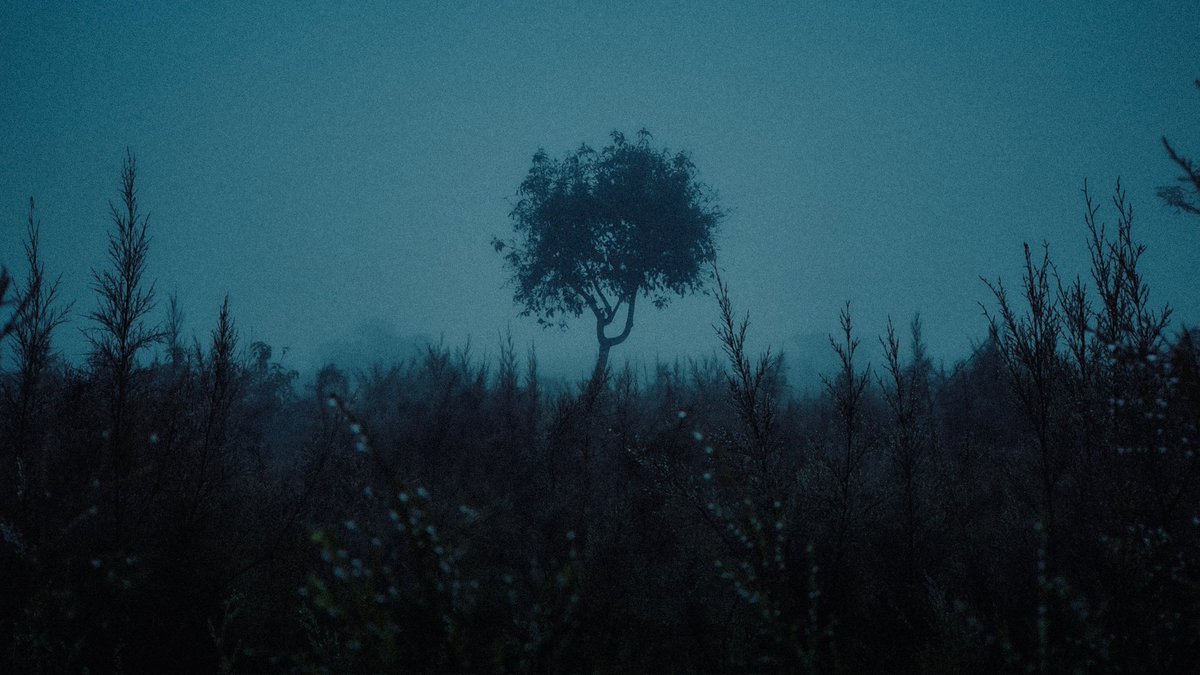 faajil_'s tweet photo. A Desolation Song - Agalloch https://t.co/qD6356YzpU