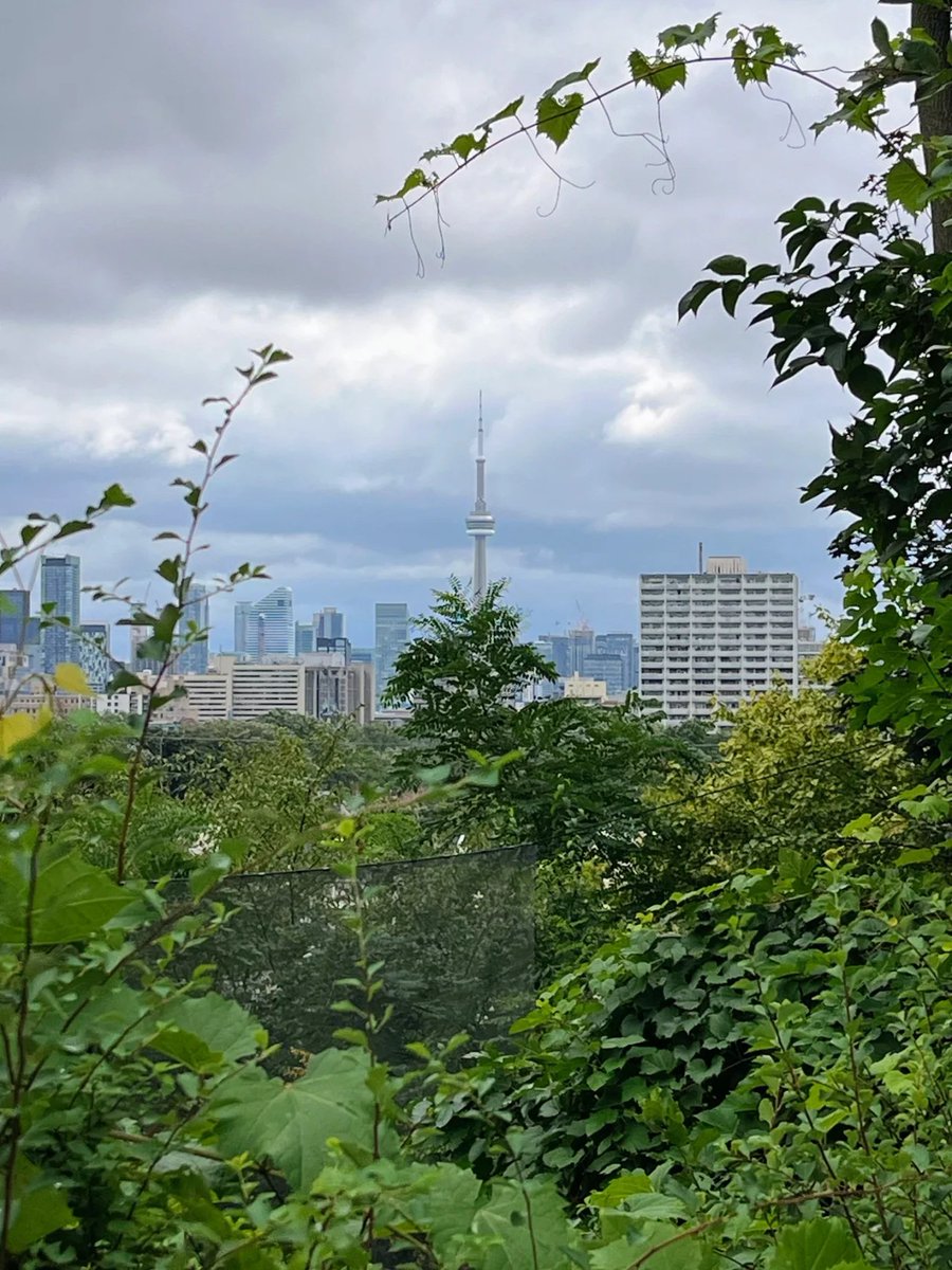 Look deep into nature, and then you will understand everything better🇨🇦🏰