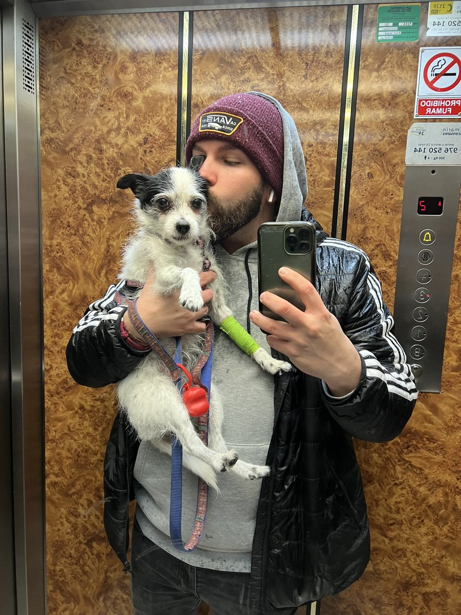 Victor Wiki tweet media