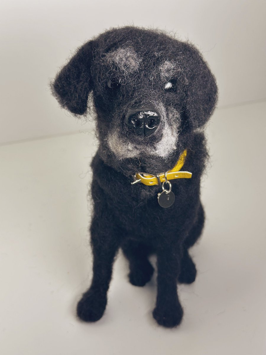 A needle felted Black Lab portrait #labradorretriever