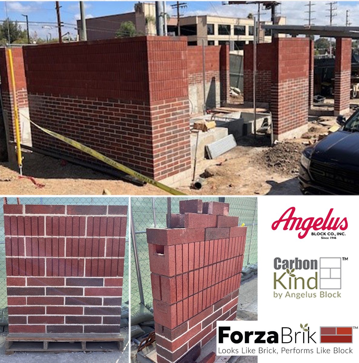 Angelus Block Co tweet media