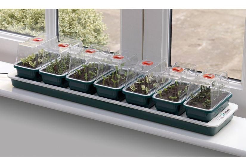 allotmentonline's tweet image. 🌱NEW COMPETITION!🌱

Enter for the chance to WIN a Super 7 Electric Windowsill Propagator from @marshallsgardn ! 

Please follow, ❤️ RT and enter on the link: allotmentonline.co.uk/win-a-super-7-…

#propagator #win #fridaywins #fridayvibes #allotmentlife #growingfromseed #gyo
