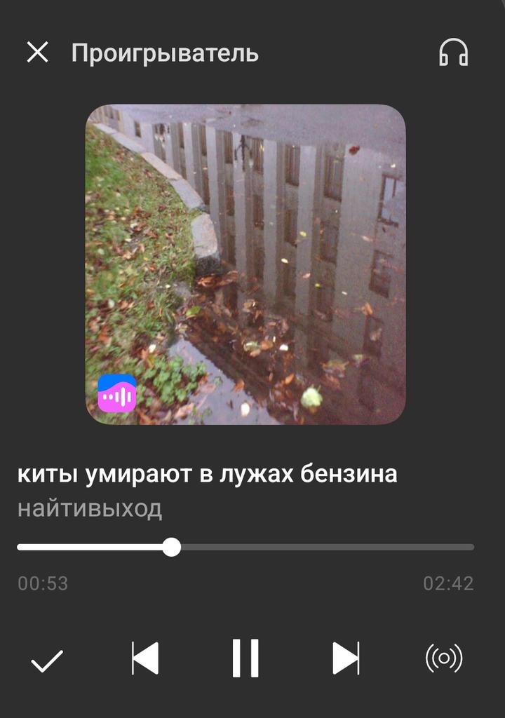 Мой кинн