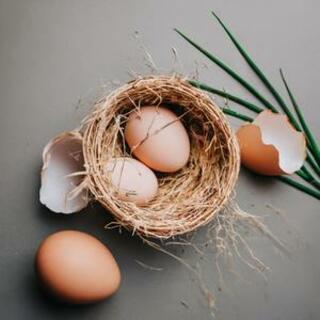 3dheals's tweet image. New #eggshell membrane based #biomaterial for bone #regenerationhttps://ift.tt/P4FiB7n
Eggshell membrane is biopolymer material composed of type I, V and X collagen fibres instagr.am/p/C2SpQjasnhr/
