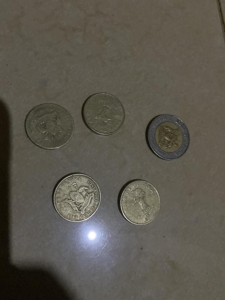 system_gavin's tweet photo. After a long day of hustling i only secured this🤭🤭🤭 https://t.co/Jsj80Mz9zY