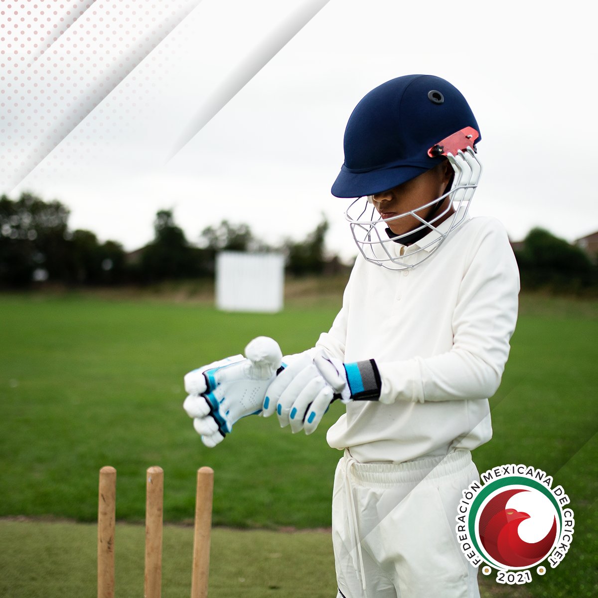 Cricket México tweet media