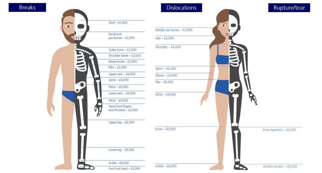 Thomas Dix tweet media
