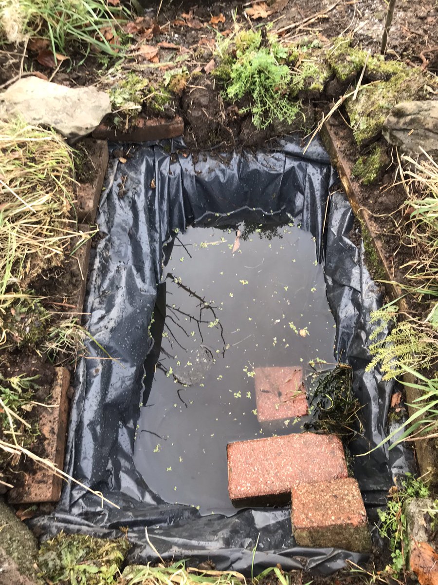 ‘Anáil isteach an ocsaigin!’🌏
Another day in the BioBeo office / beautiful January outdoor classroom. The Bioeconomy theme of Life under water today building a wildlife pond with the brilliant páistí in a wonderful midlands urban school. Inspired by Collie Ennis!