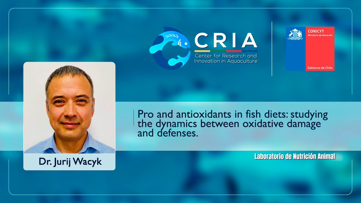 CriaUchile's tweet photo. Felicitamos al Dr. Jurij Wacyk, Director del Laboratorio de Nutrición Animal y miembro de CRIA por la adjudicación del proyecto Fondecyt regular "Pro and antioxidants in Fish diets: studying the dynamics between oxidative damage and defenses" https://t.co/cD4kP4RL3E