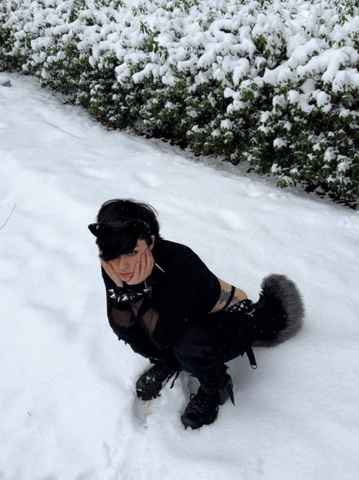 if you're cold they're cold... bring them inside💔 https://t.co/NMOSK7sXtP